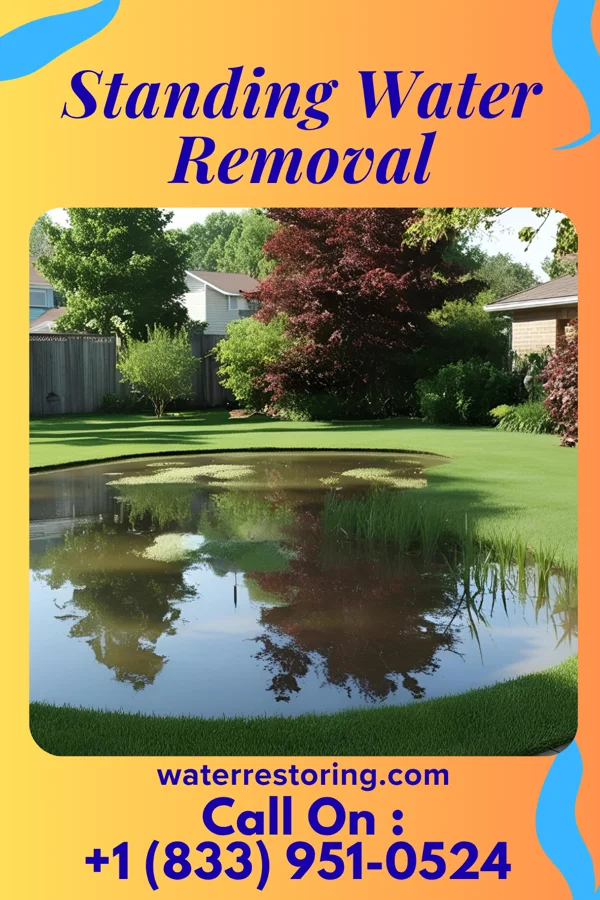 Standing Water Removal in Cypress Lake, FL
